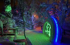 Арт-парк Таинственный лес (Mysterious forest) — Россия | Место № 7 Арт-парк Таинственный лес (Mysterious forest) — Россия | Место № 7